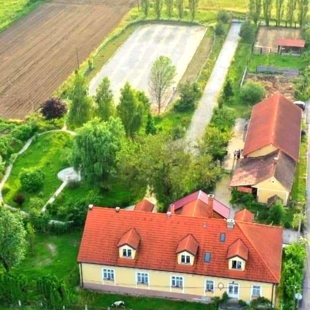 TZP KUPA